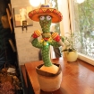 Picture of Funny Plant Plush Toy