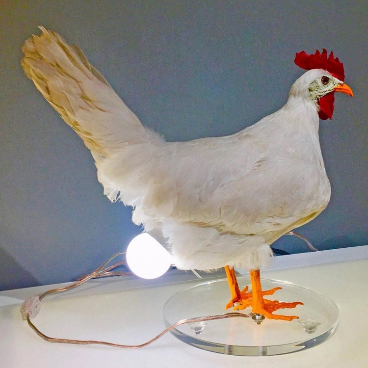 Picture of Funny Ugly Style Chicken Night Light