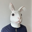 Picture of White Bunny Head Mask