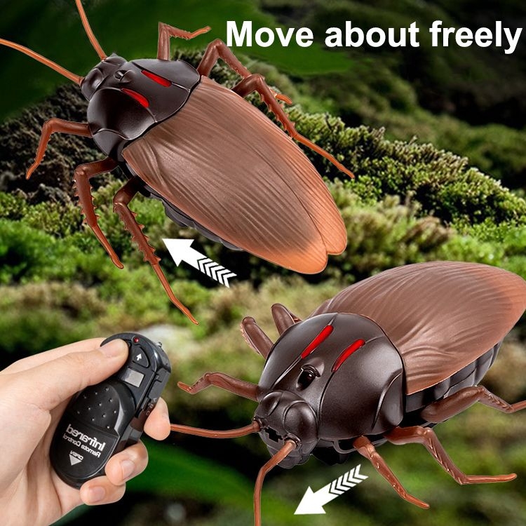 Funny remote control cockroach