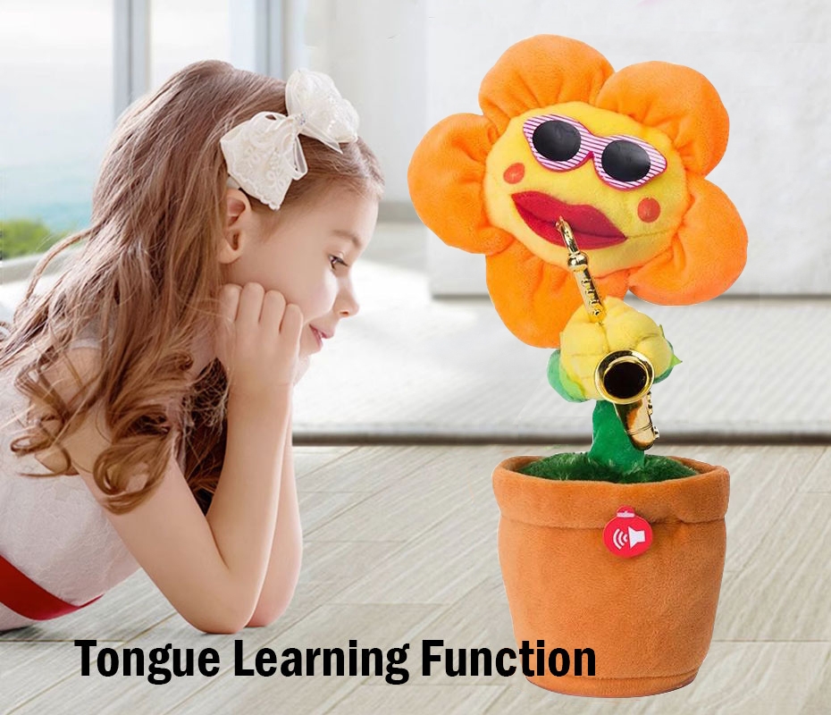 Funny flowers function
