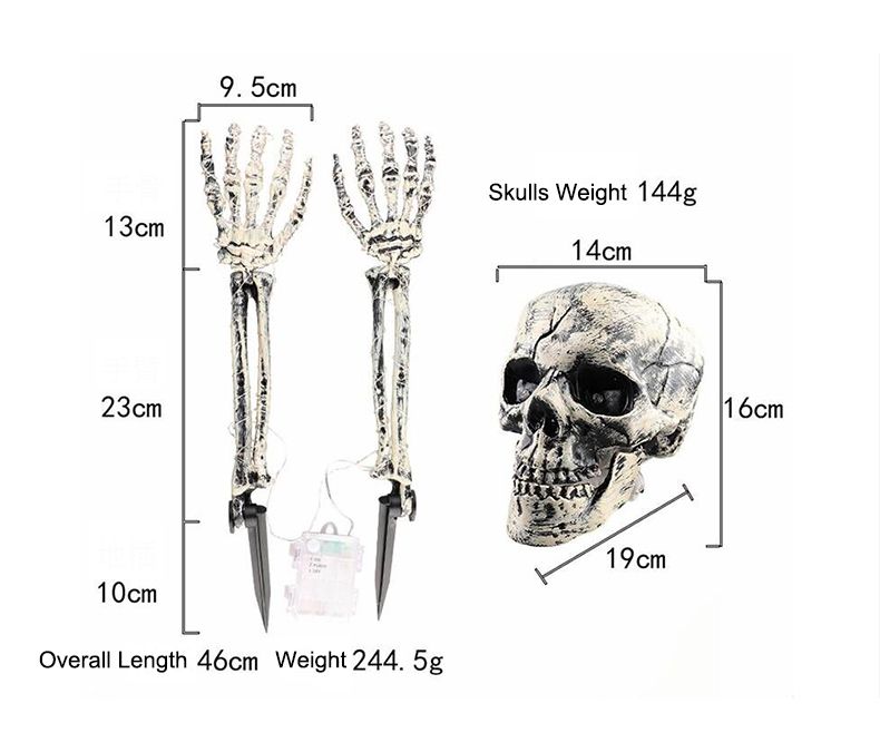 Skull size